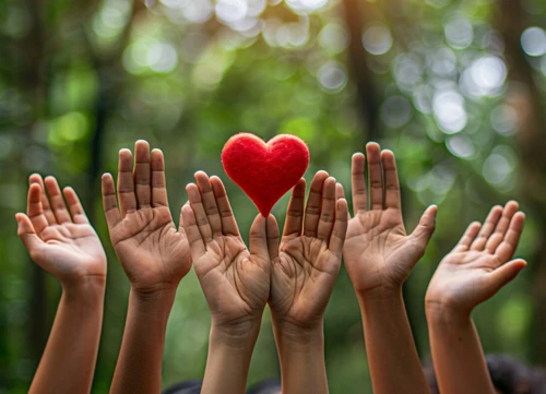 NGO Financial Clarity